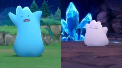 Pokémon BDSP: Cómo encontrar (y atrapar) lo mismo