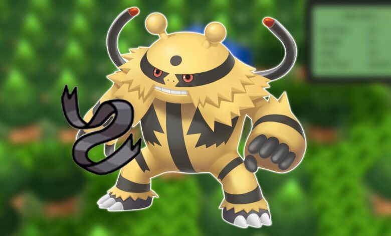 Pokémon BDSP: Cómo obtener el cinturón de experto (y qué hace)