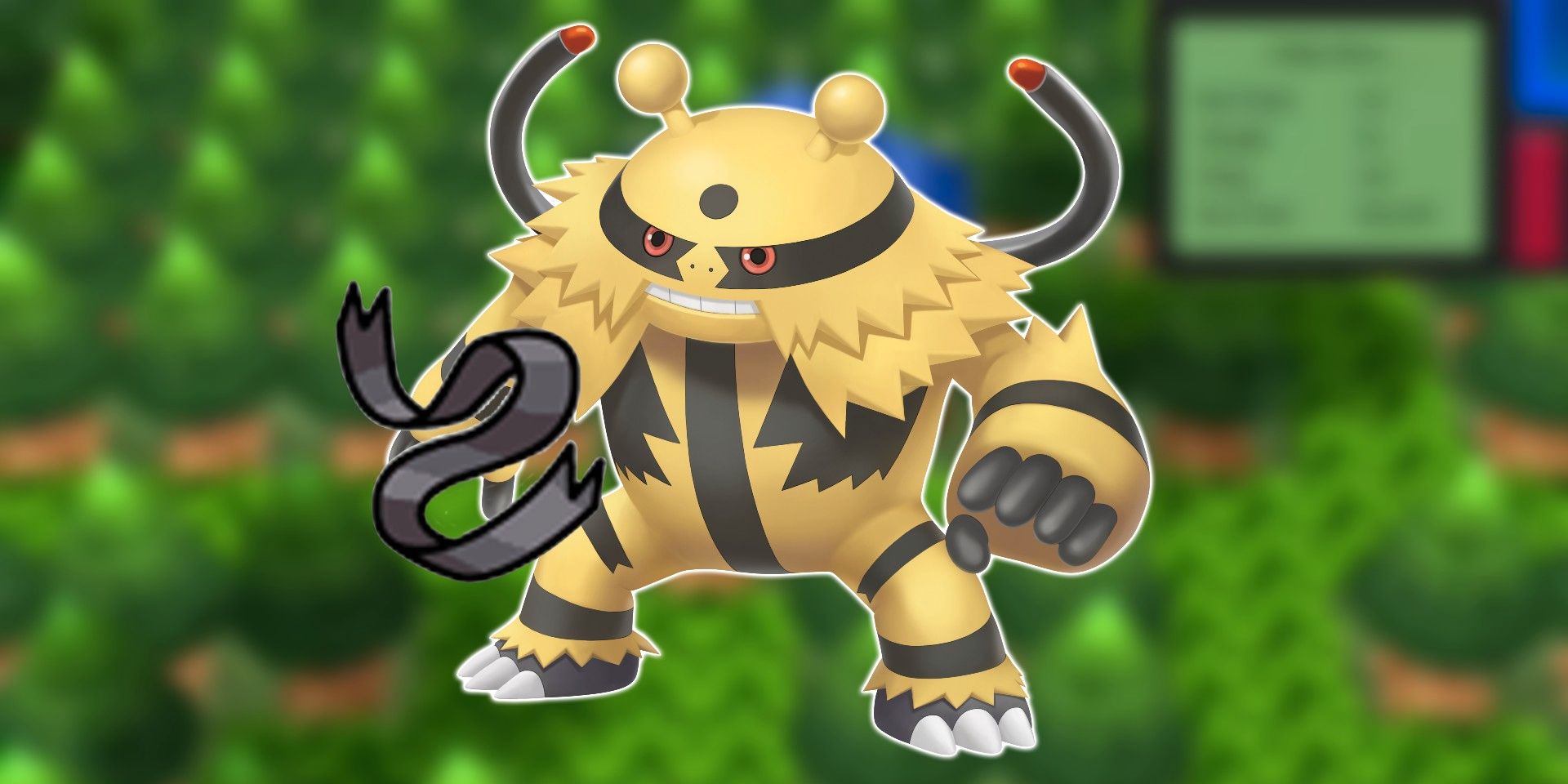 Pokémon BDSP: Cómo obtener el cinturón de experto (y qué hace)