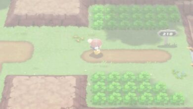 Por qué desempañar en Pokémon BDSP es tan fácil de perder