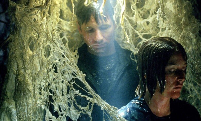 Teoría de Expediente X: La excursión de Mulder y Scully nunca terminó