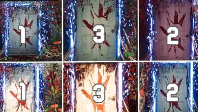 Todas las ubicaciones de las puertas Memory Link en Far Cry 6 Vaas Insanity