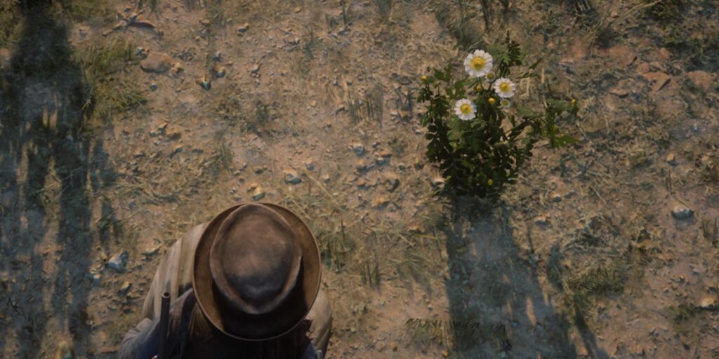 Ubicaciones de Red Dead Redemption 2: Wild Feverfew
