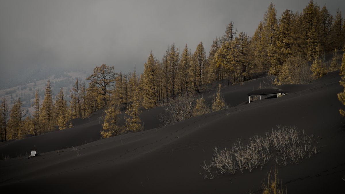 Vídeo | En la zona más golpeada por el volcán: “Antes había vida y ahora solo hay ceniza”