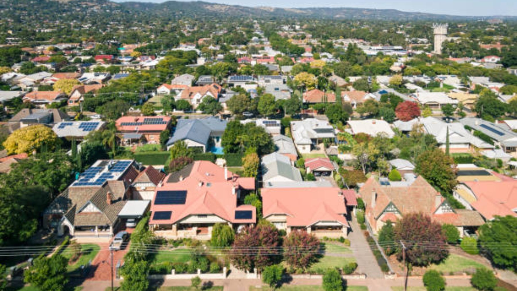 qué son y cuáles son sus características