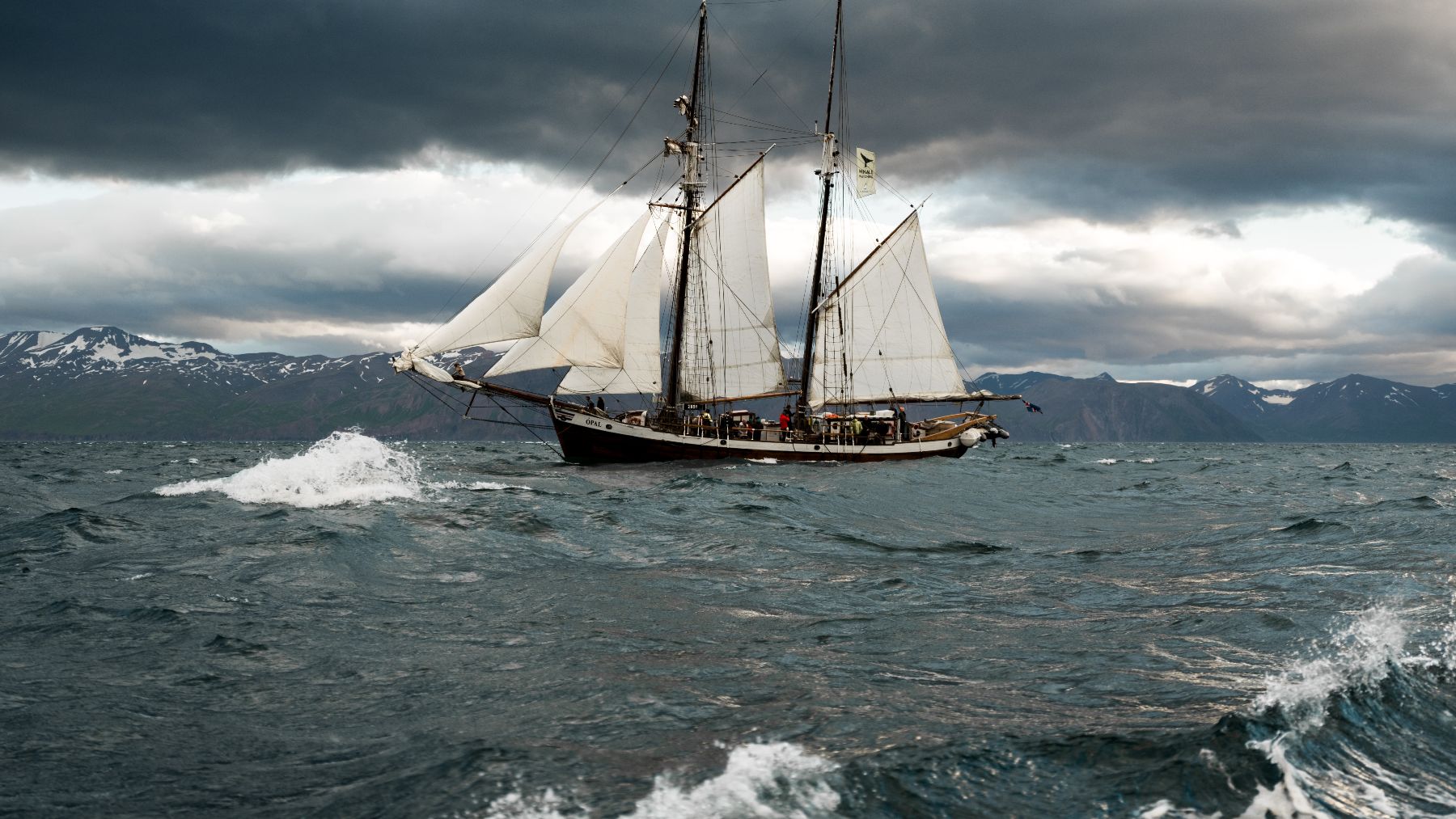 ¿Cuál es la densidad del agua del mar?