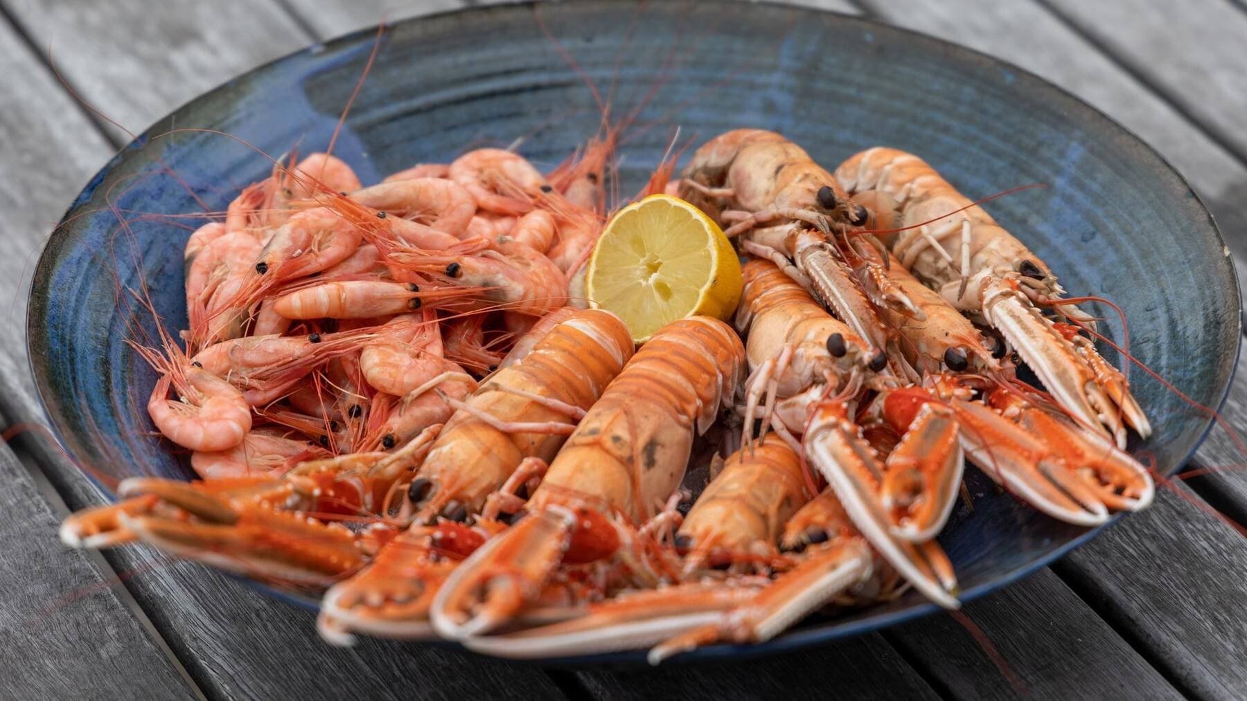 ¿Cuál es la diferencia entre la gamba y el camarón?