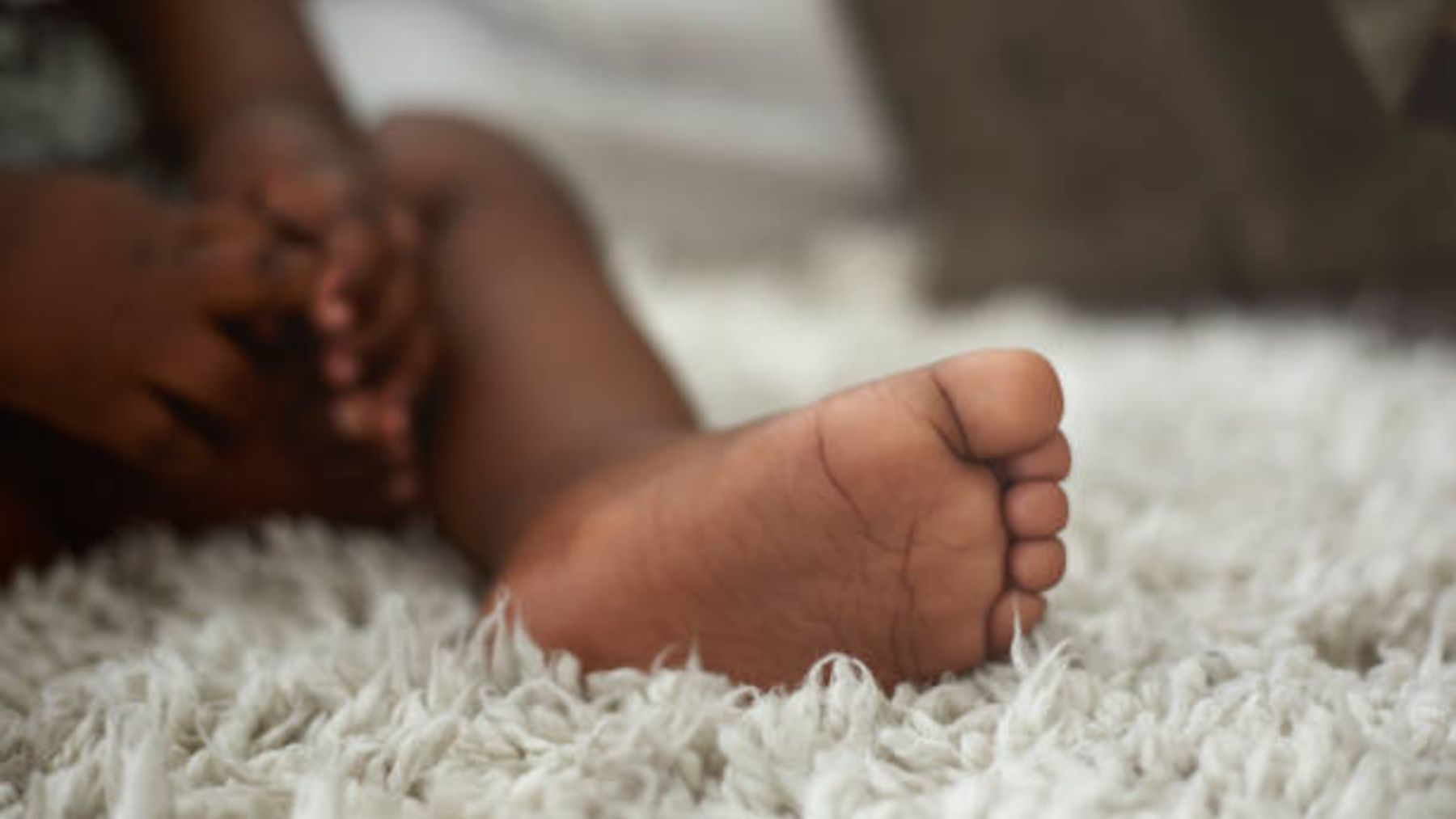 ¿Cuáles son los países y continentes con la mayor tasa de natalidad?