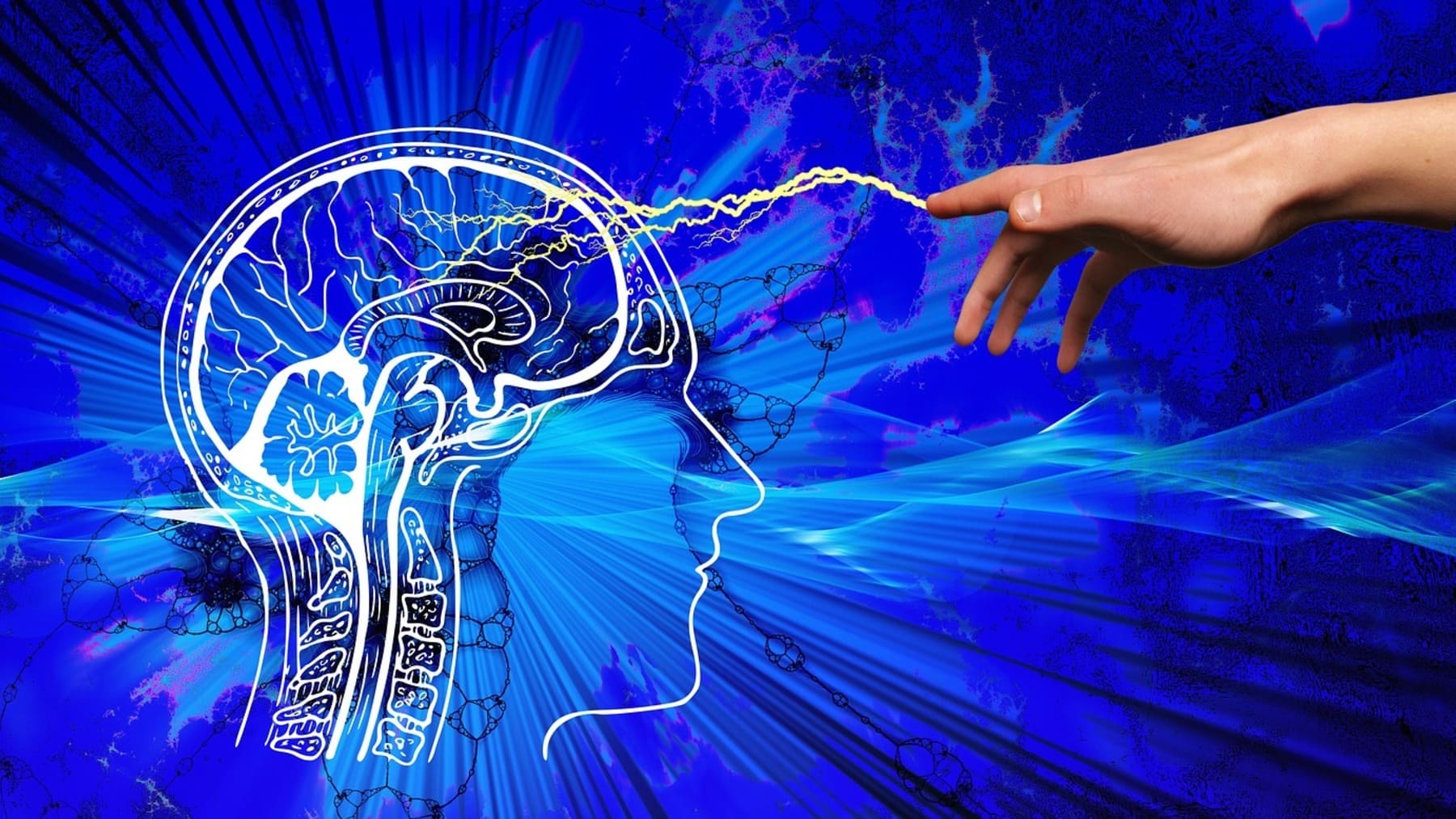 ¿Es verdad que el cerebro humano produce electricidad?