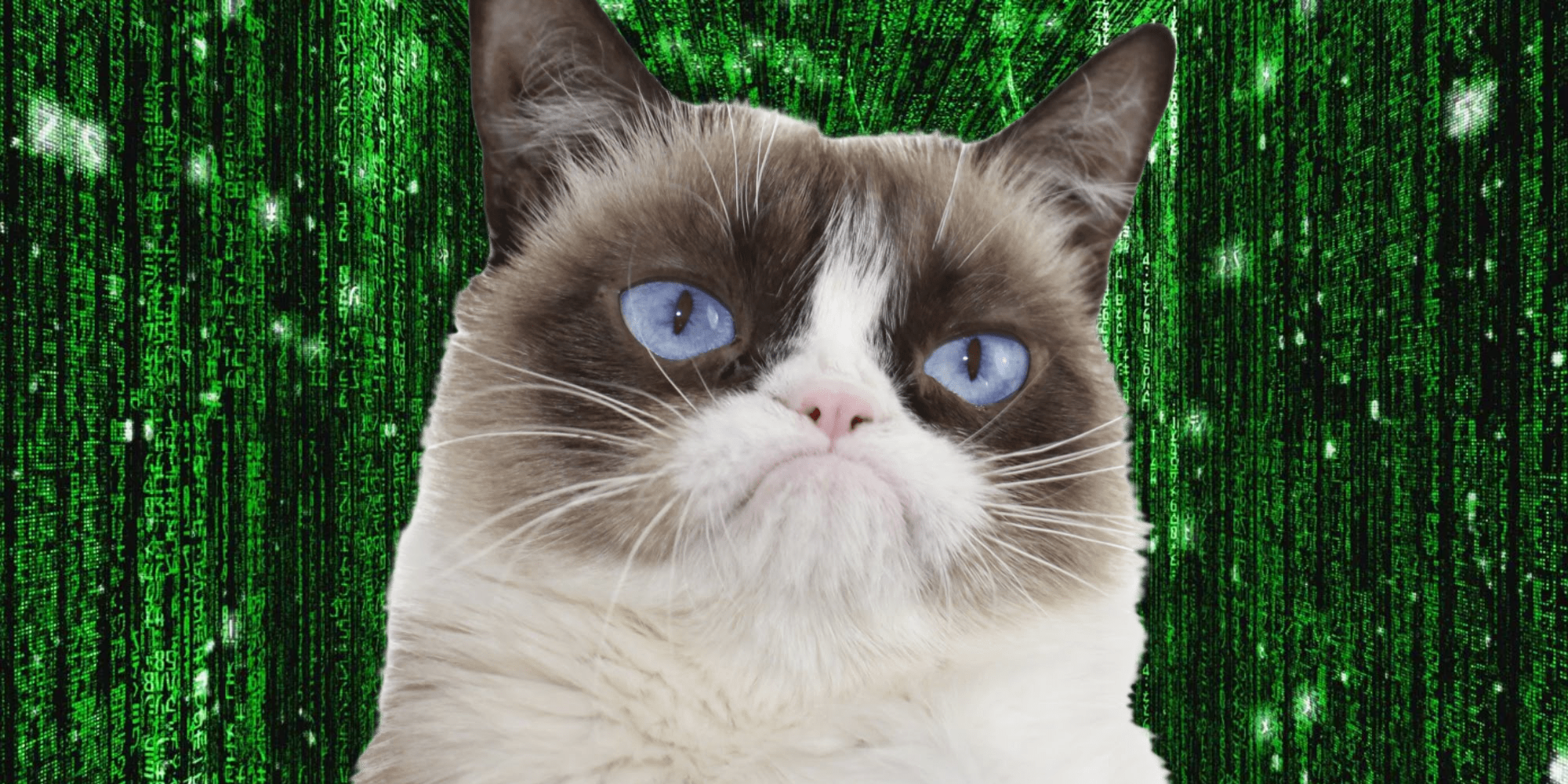 ¿La escena de los créditos finales de Matrix Resurrections es un insulto para quién es la película?