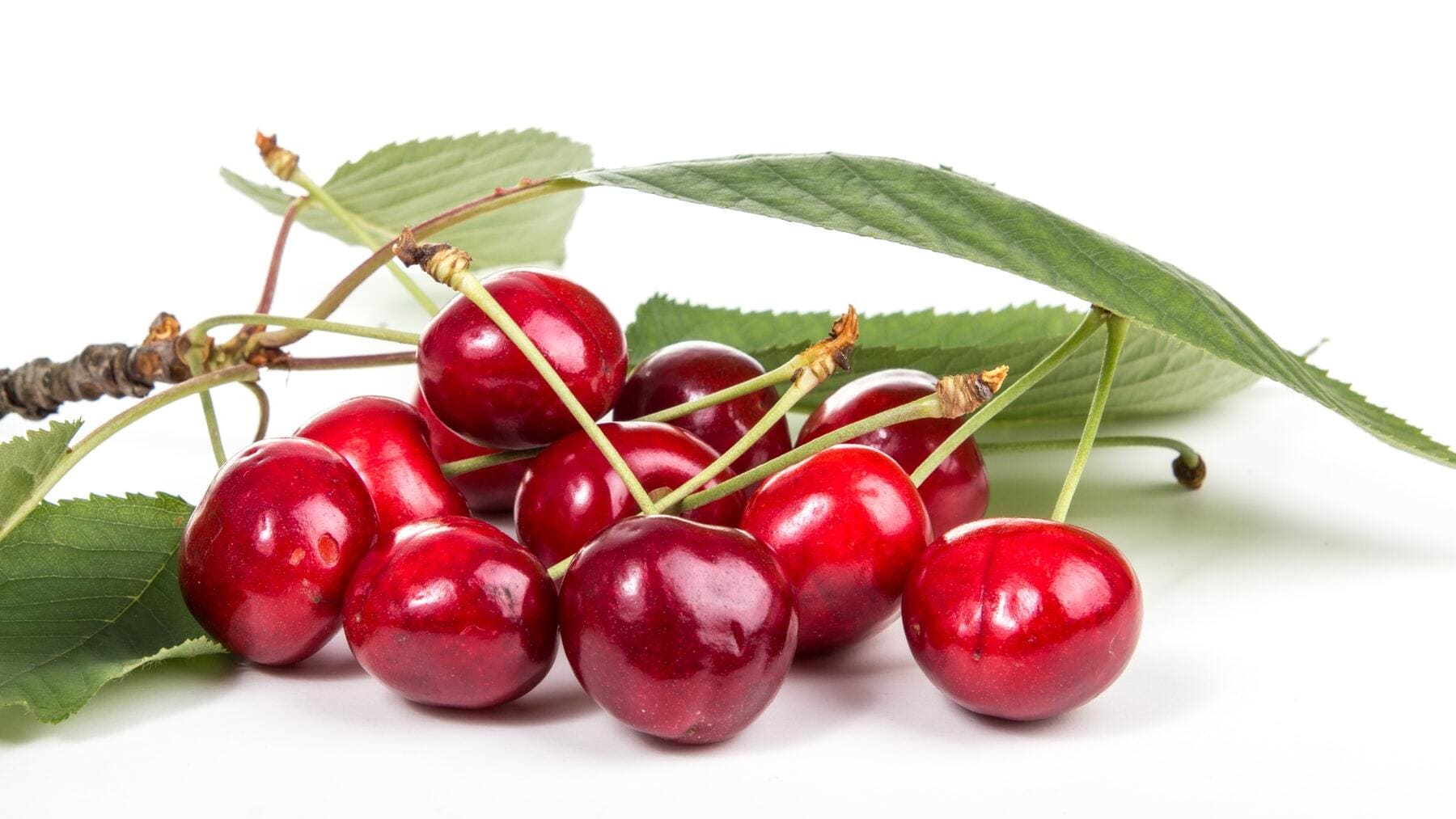 ¿Qué diferencia hay entre la picota y la cereza?