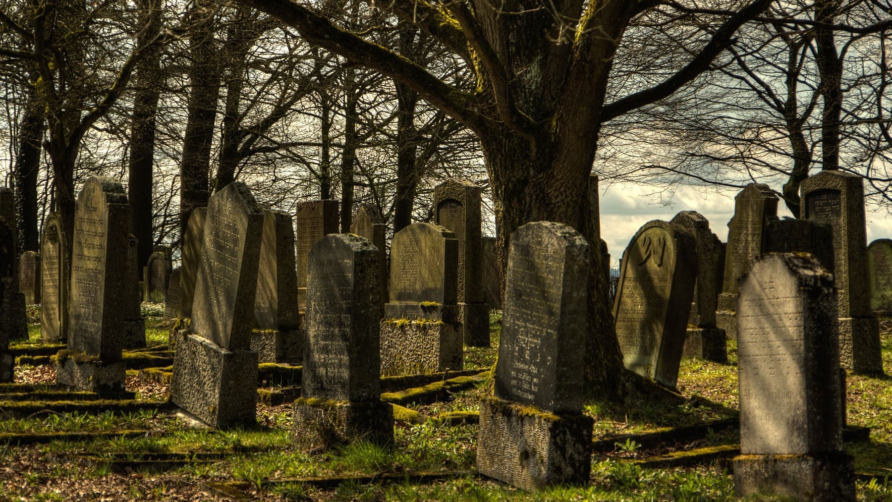 ¿Vida después de la muerte? Un miltimillonario ofrece un millón de dólares por demostrarlo