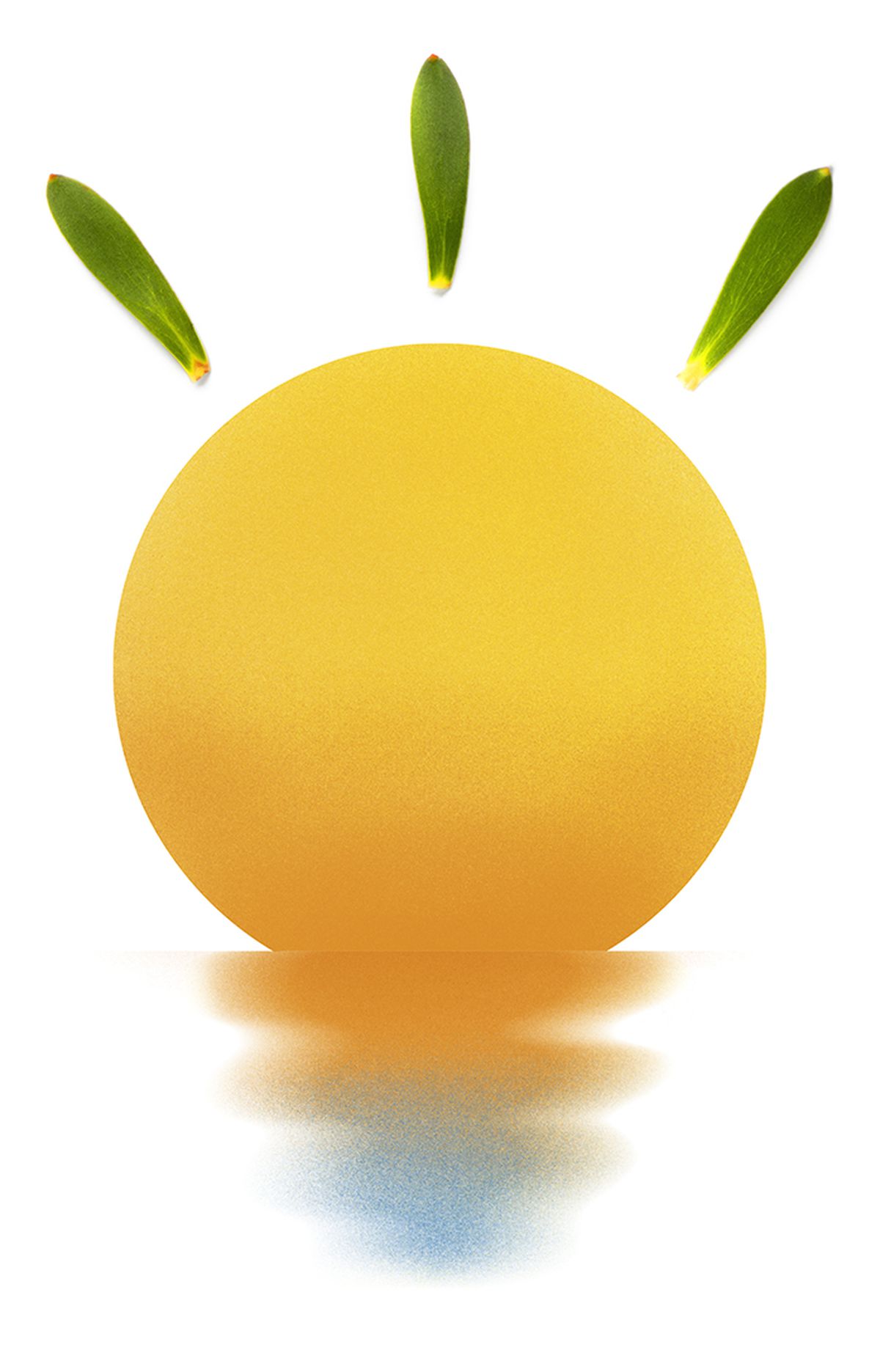 Una propuesta energética y de transformación para el mundo local