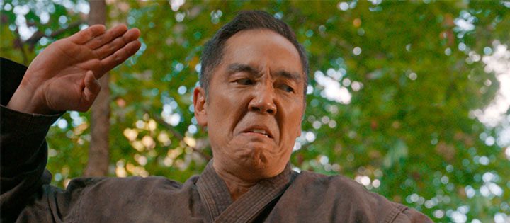 cobra kai temporada 5 netflix elegido