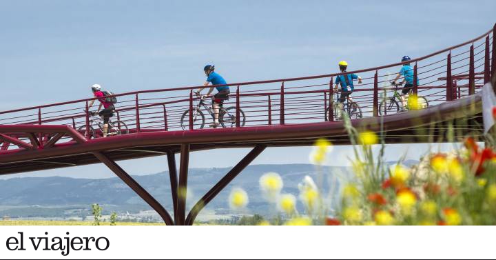 Las jefas de El Trenico, un tren de vía estrecha con alma de mujer