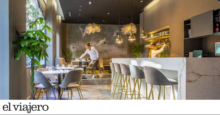 NoDrama Concept, cosmopolitismo gastronómico de alta tensión