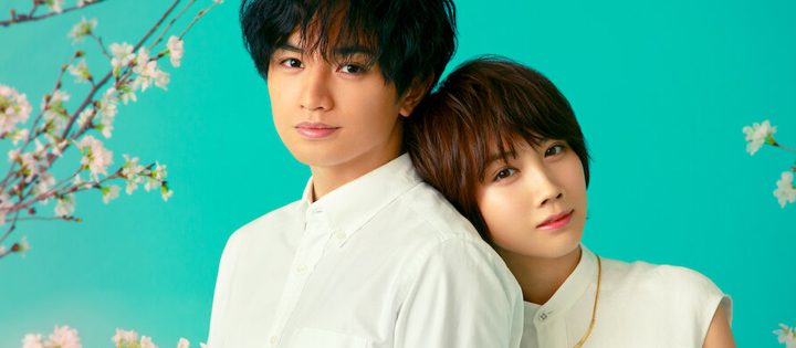 ama como los pétalos que caen