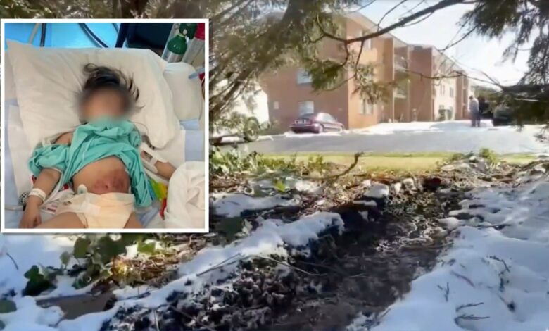 Niña hondureña necesitará meses de terapia para recuperarse de atropellamiento