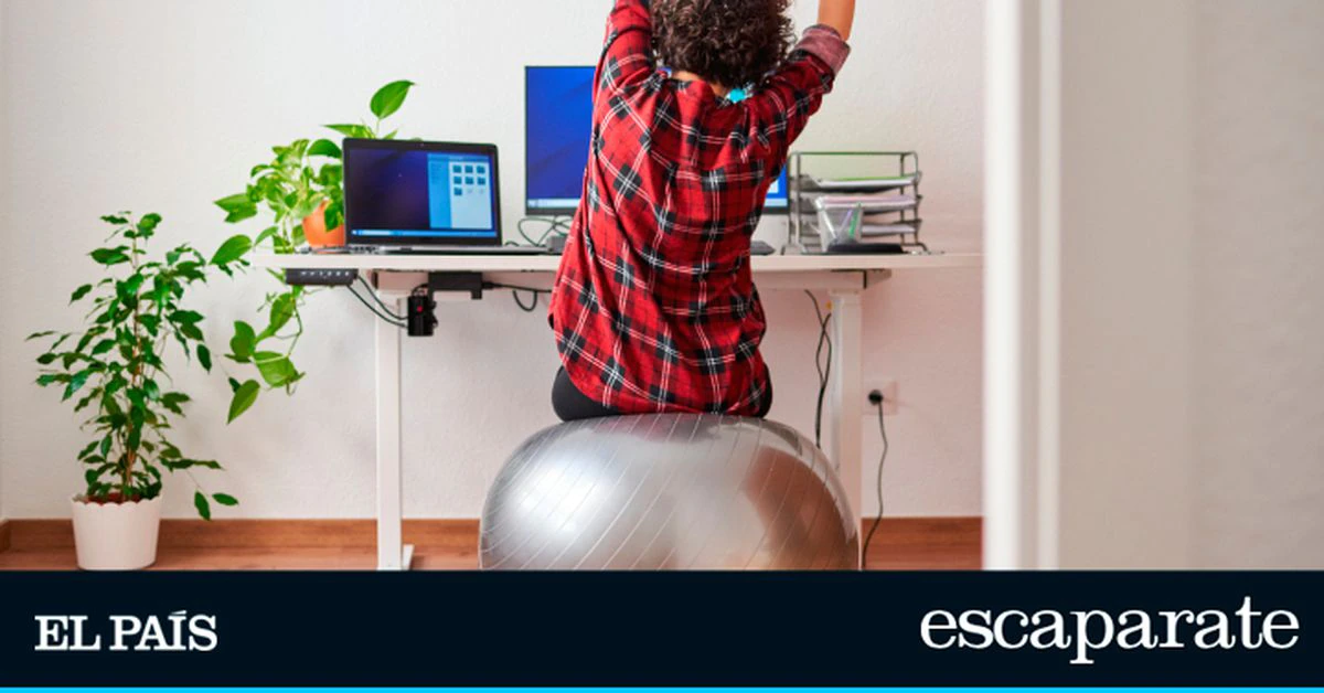 Vuelve a tus rutinas de entrenamiento con estos accesorios baratos para ejercitar el cuerpo sin darte cuenta