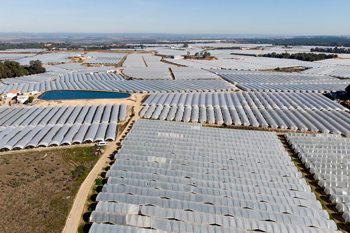 PP, Cs y Vox prevén legalizar 1.461 hectáreas que esquilman el acuífero de Doñana