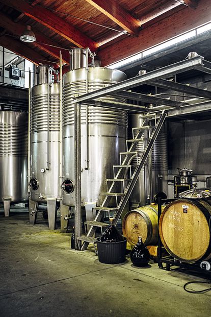 La bodega Viña Mein.  