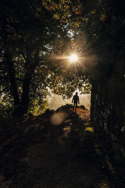 En 2019 Emilio Rojo (de espaldas en la foto) decidió ceder el testigo de Viña Mein a Alma Carraovejas.