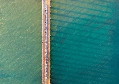 Cena organizada en el puerto de Malibú (california, EE UU).