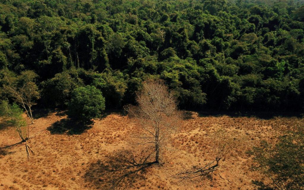 2021, el sexto año más cálido registrado en el mundo