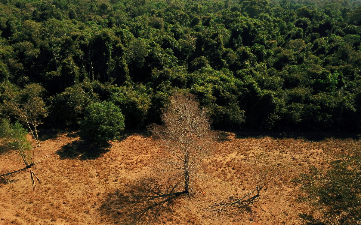 2021, el sexto año más cálido registrado en el mundo