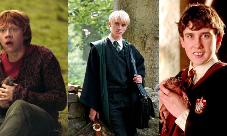 5 personajes de Harry Potter que serían excelentes compañeros de cuarto (y 5 que serían terribles)