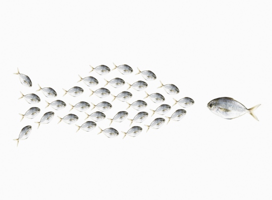 A medida que la economía se reabre, las nuevas empresas están en una posición única para reclutar talento.