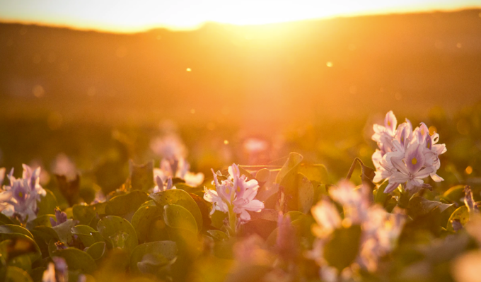 Affect plantea una ronda semilla para hacer crecer su servicio de recuperación de abuso de estimulantes