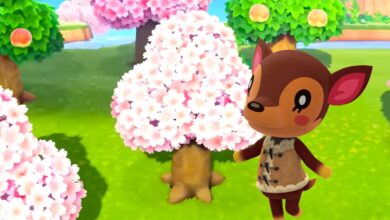 Animal Crossing: Cuando comienza la temporada de los cerezos en flor (2022)