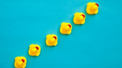 Antes de una salida, los fundadores deben obtener sus patos en materia de derecho laboral en una fila.