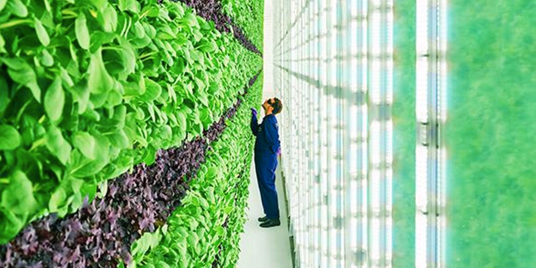 Aquí están todas las formas en que la NASA está afectando su vida