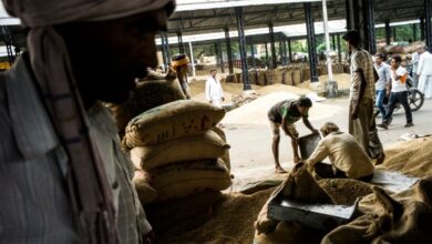Arya recauda 21 millones de dólares para proporcionar a los agricultores de la India servicios financieros y poscosecha