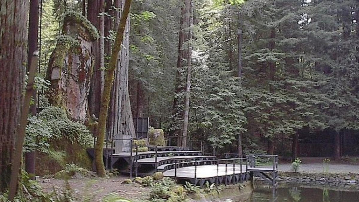 Así es Bohemian Grove, el exclusivo club de hombres ricos norteamericanos