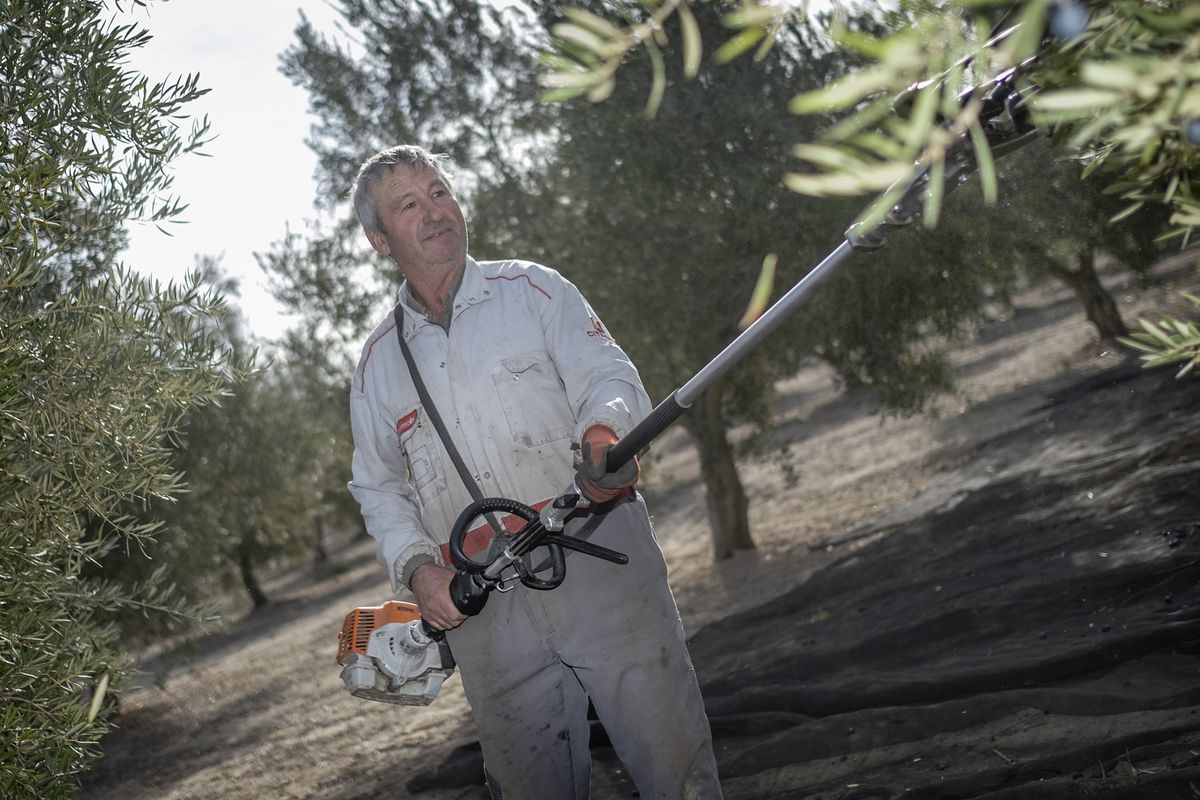 Atrapados en la lluvia de megaparques renovables