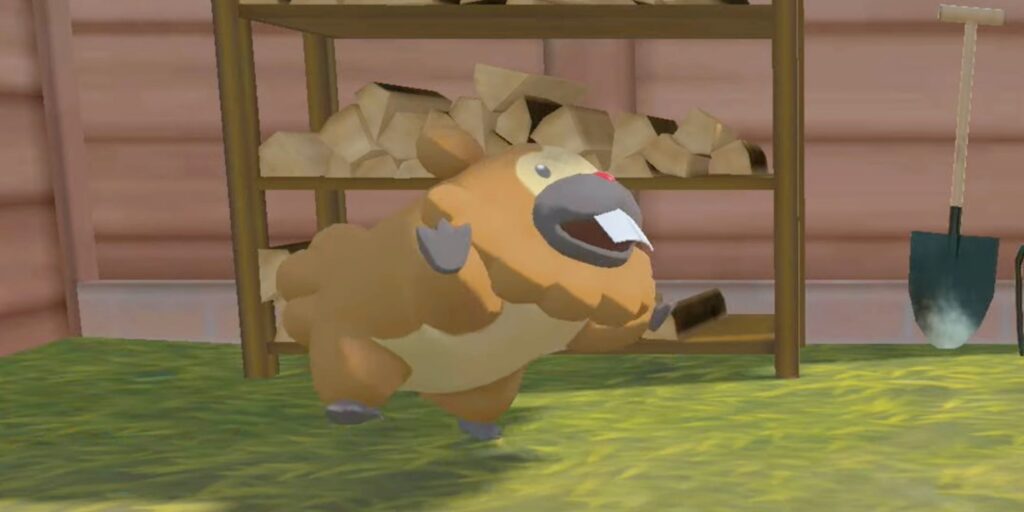 Cada ubicación molesta de Bidoof en Pokémon Legends: Arceus