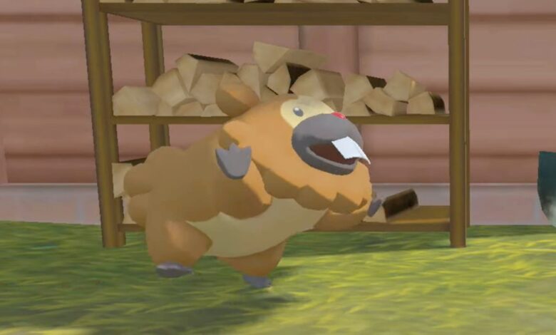 Cada ubicación molesta de Bidoof en Pokémon Legends: Arceus