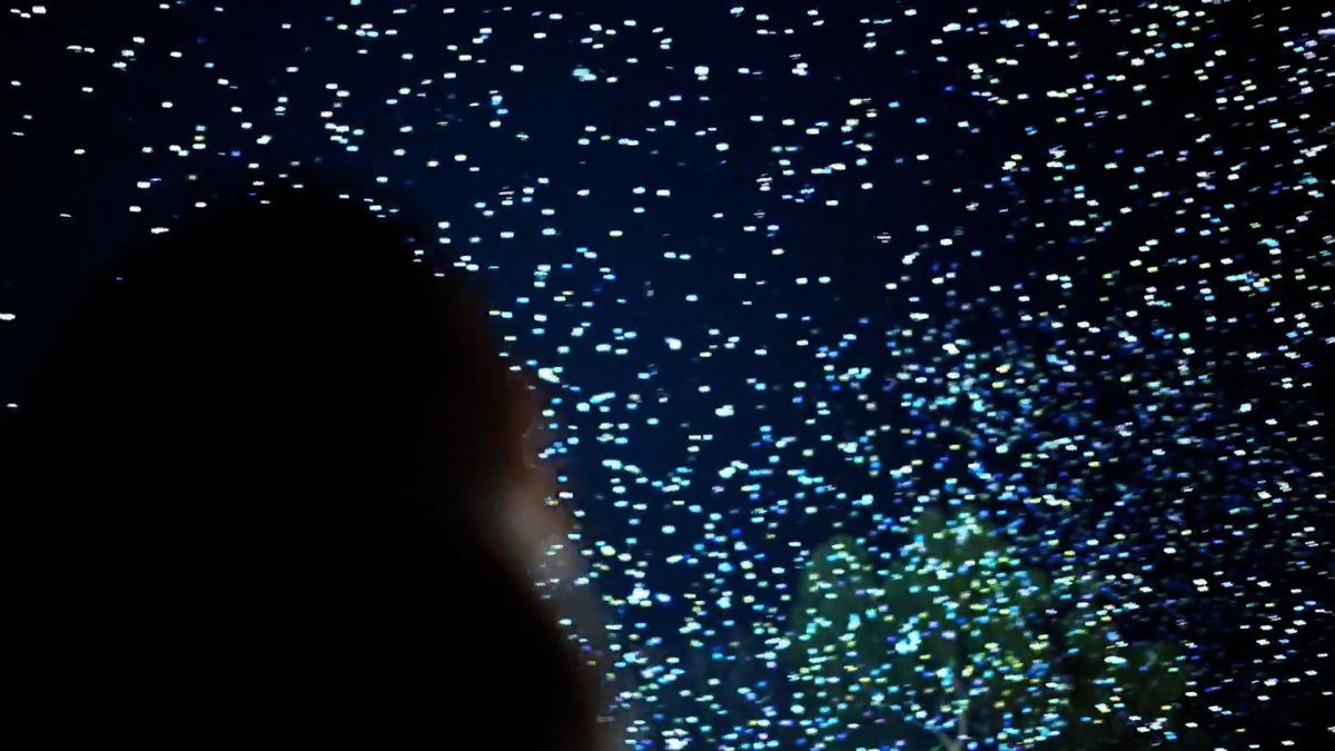 Chispas orgánicas como alternativa sostenible a los fuegos artificiales