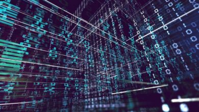 Collibra obtiene otros 112,5 millones de dólares con una valoración de 2,300 millones de dólares para su plataforma de gestión de big data