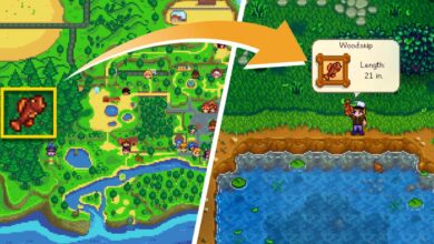 Cómo atrapar Woodskip Fish en Stardew Valley