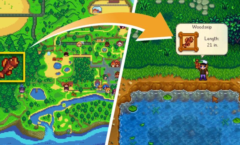 Cómo atrapar Woodskip Fish en Stardew Valley