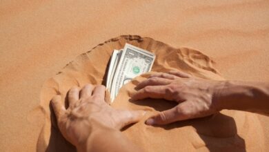 Cómo las startups llenan la brecha entre los ingresos y la inversión