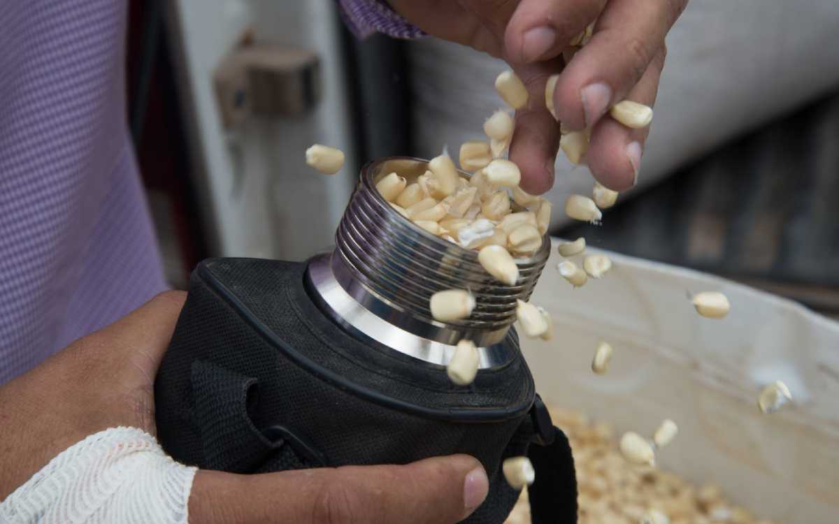 Conacyt recomienda al gobierno reducir 50% las importaciones de glifosato