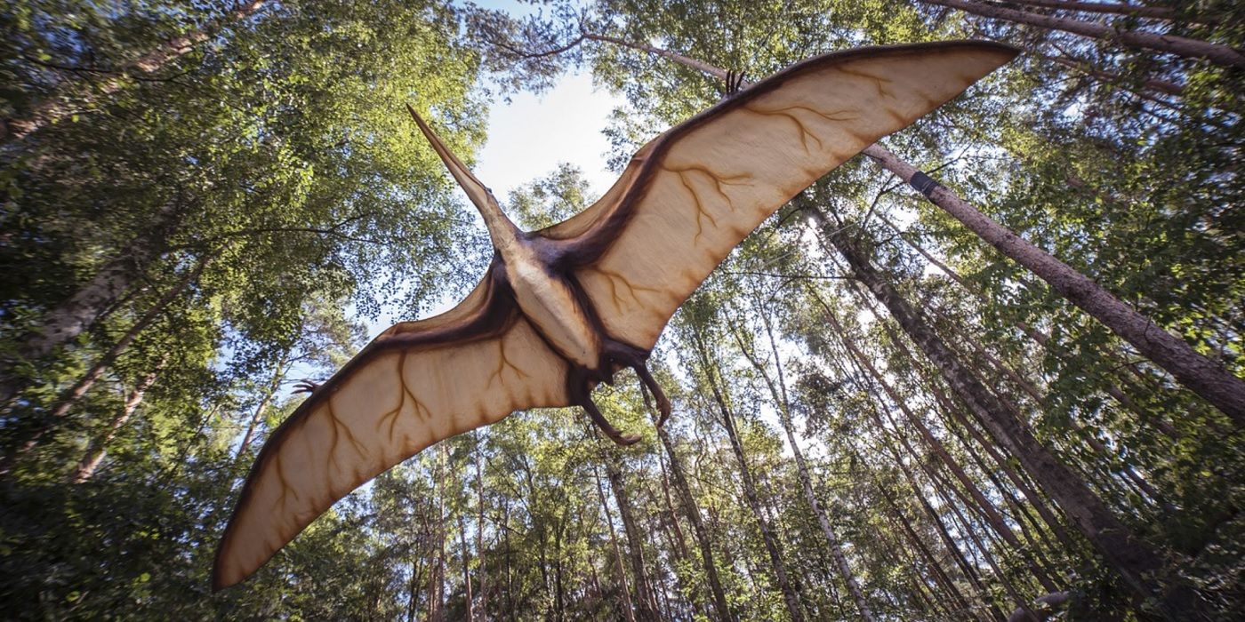 Condiciones de extinción del final del Triásico inquietantemente similares al cambio climático moderno