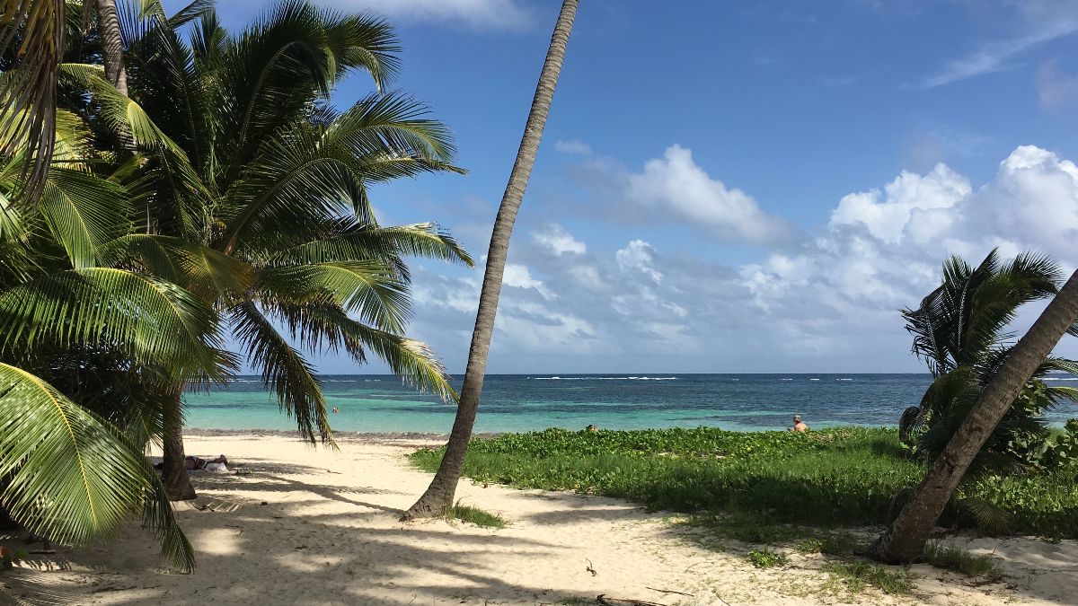 Consigue un billete de avión gratis para teletrabajar desde Hawái