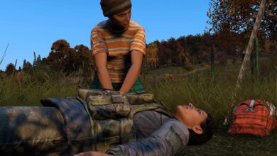 DayZ: todas las enfermedades (y cómo curarlas)