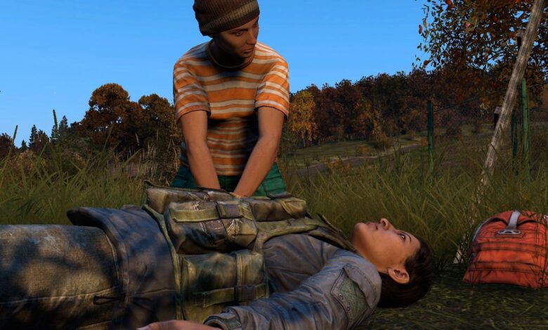 DayZ: todas las enfermedades (y cómo curarlas)